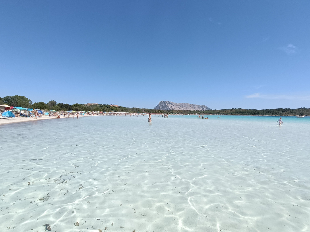 Cala Brandinchi-Capo Coda Cavallo必去景点