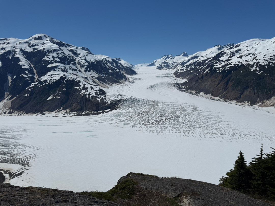 Whitecap to Icecap Adventures-Stewart必去景点