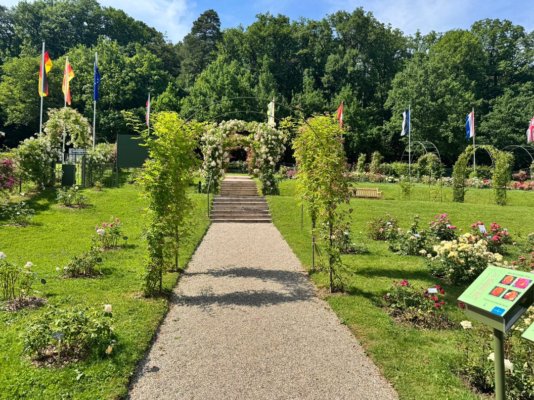 Garten der Rosenneuheiten-巴登巴登必去景点