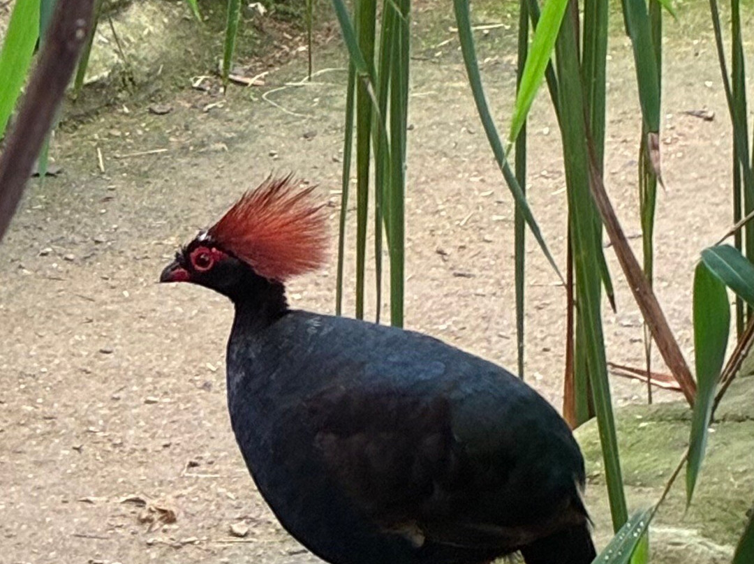 Millets Farm Centre-弗里福德希斯必去景点