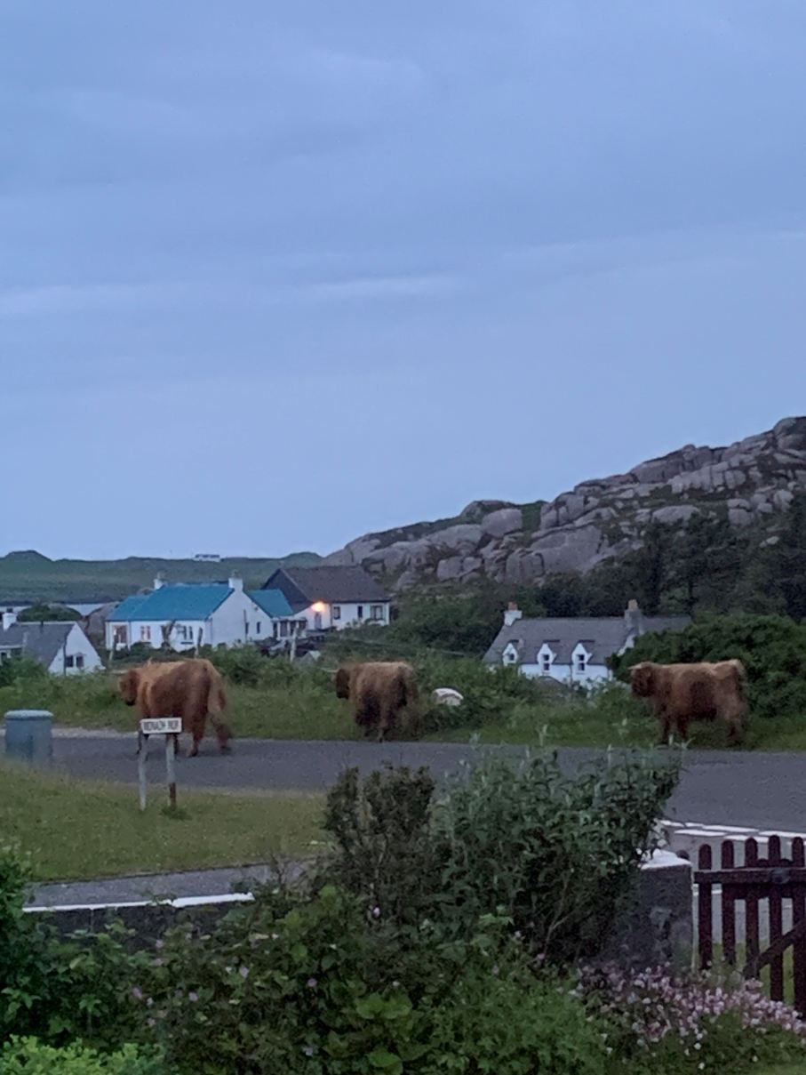 Caol-Ithe Guesthouse-旅行者