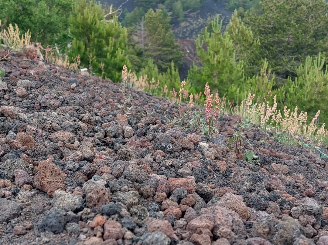 Go-Etna-卡塔尼亚必去景点