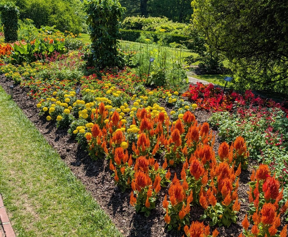 Longwood Gardens-肯尼特斯奎尔必去景点