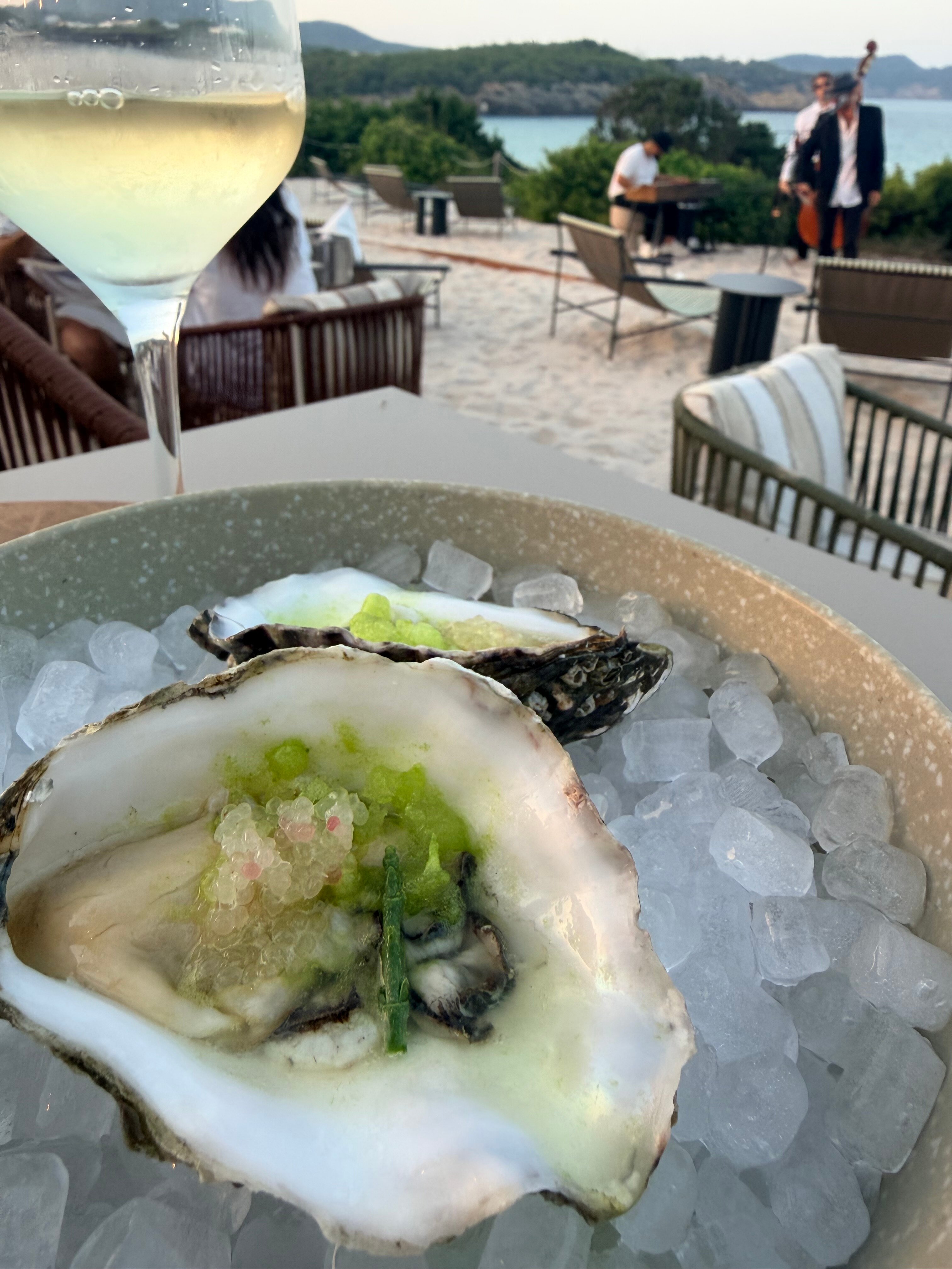 伊比萨布莱斯酒店-旅行者