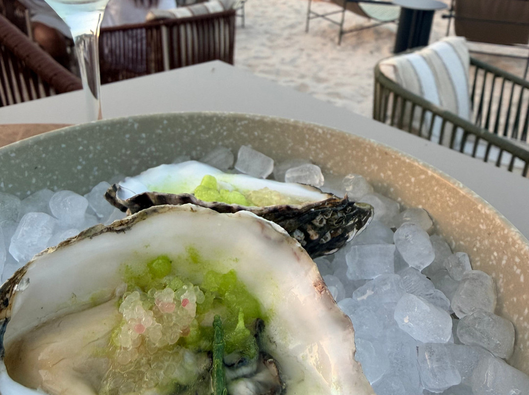 伊比萨布莱斯酒店主图