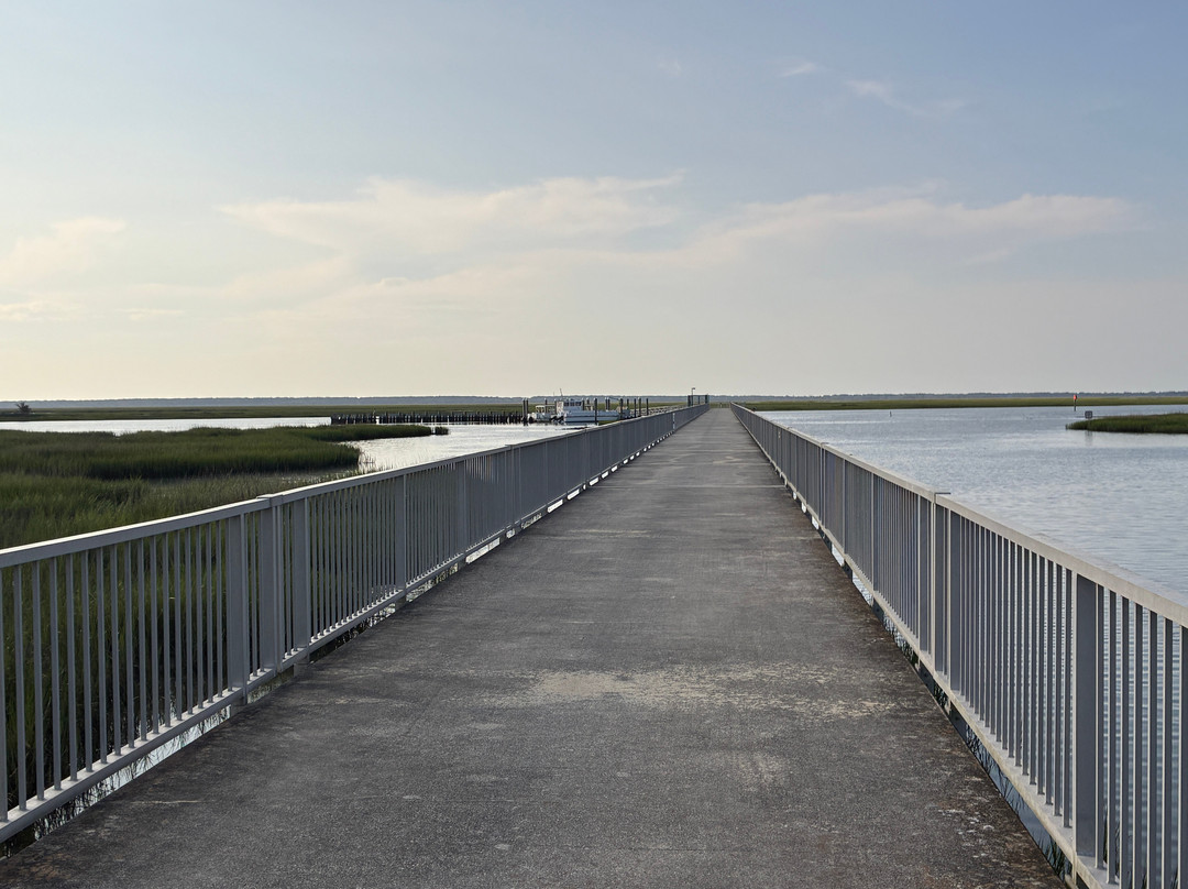 Bulls Island Ferry-Awendaw必去景点