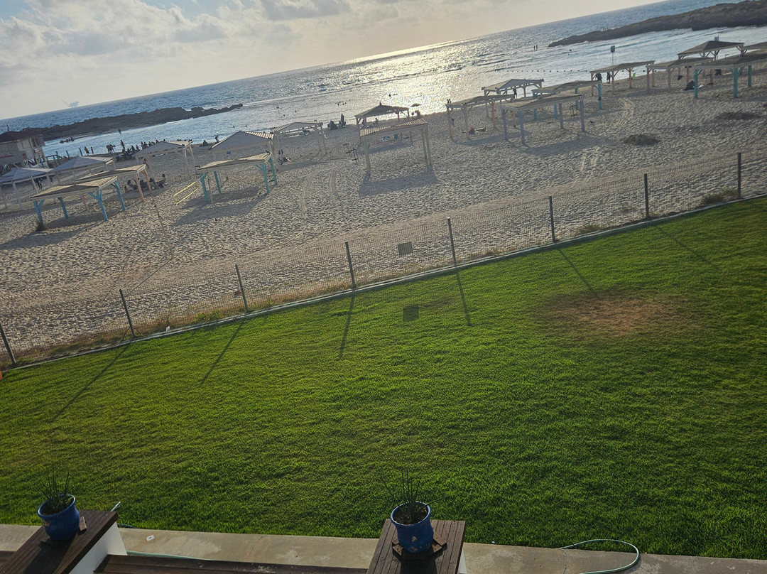 Nahsholim Beach Hotel主图