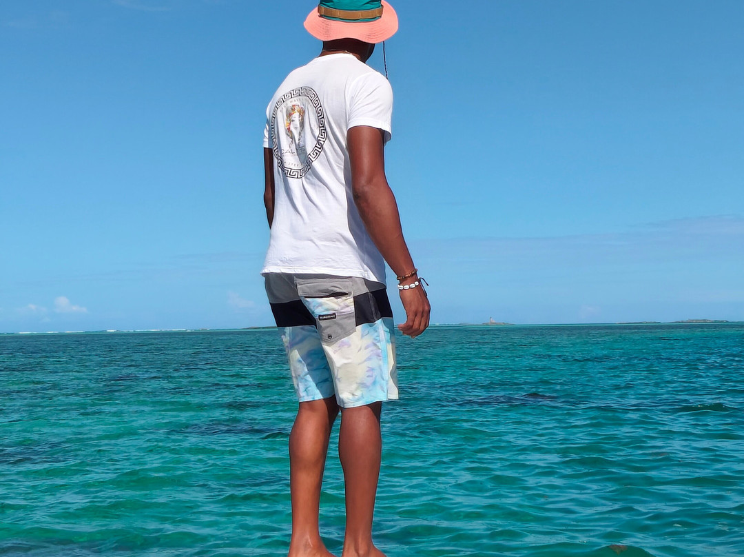 Calypso boat tours Mauritius-蓝湾必去景点