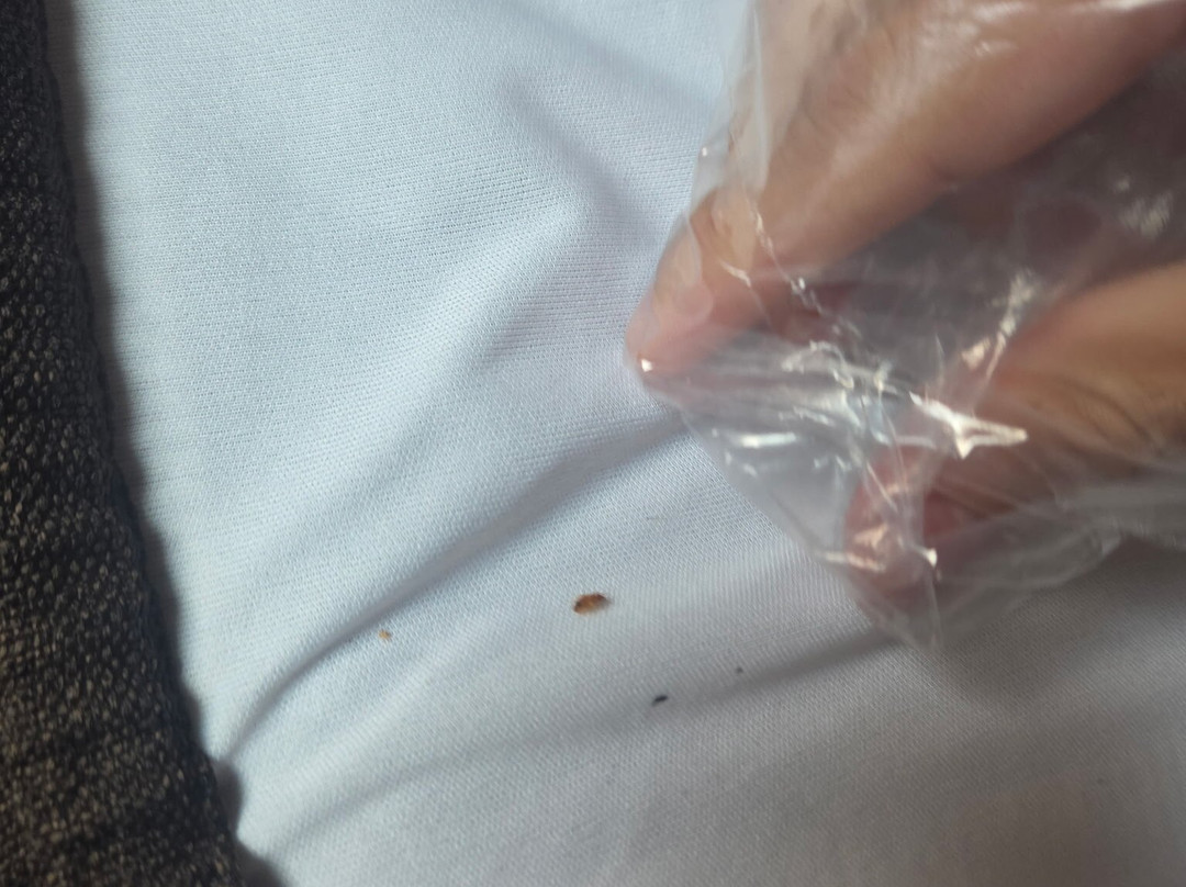 我的地方酒店-乔治国王达尔格伦主图