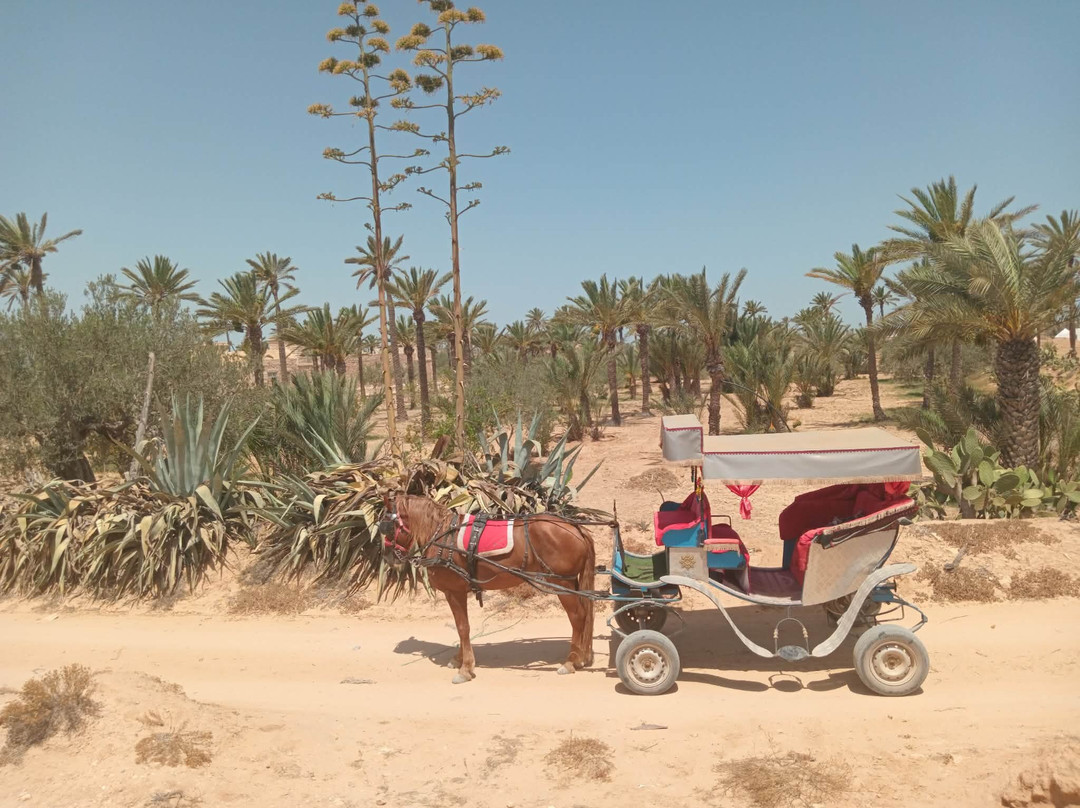 Aljazira Beach & Spa - Families and Couples Only主图