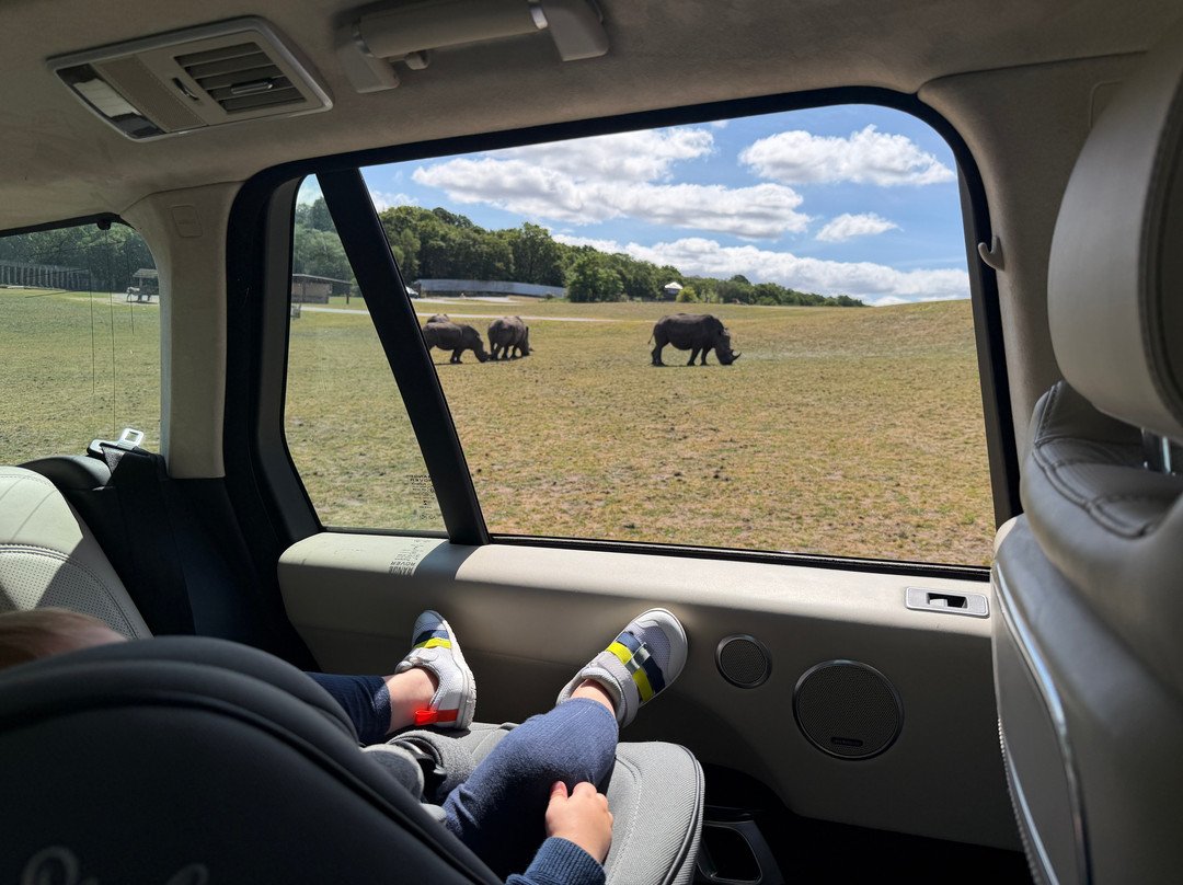 West Midlands Safari Park-Bewdley必去景点