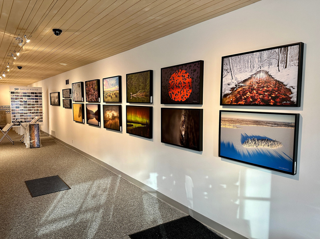 Brandenburg Gallery-伊利必去景点