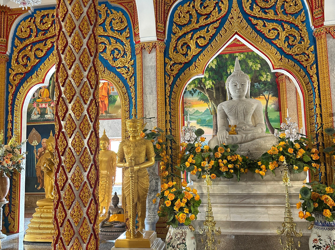 Phuket Elephant Care-奈通必去景点