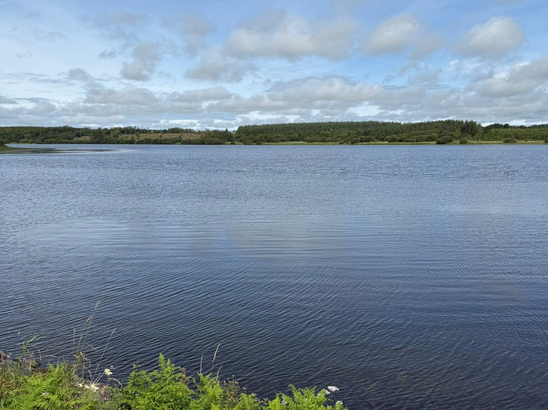 The Dingle (Nant y Pandy) Nature Reserve-Llangefni必去景点