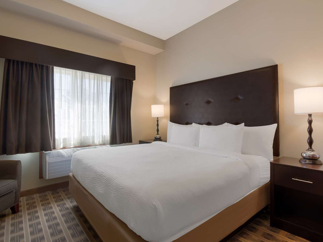 Gaston酒店住宿-Best Western University Inn & Suites