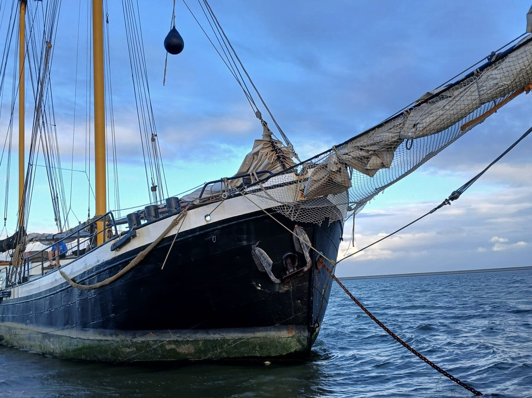 Historische Zeilvaart Harlingen-哈灵根必去景点