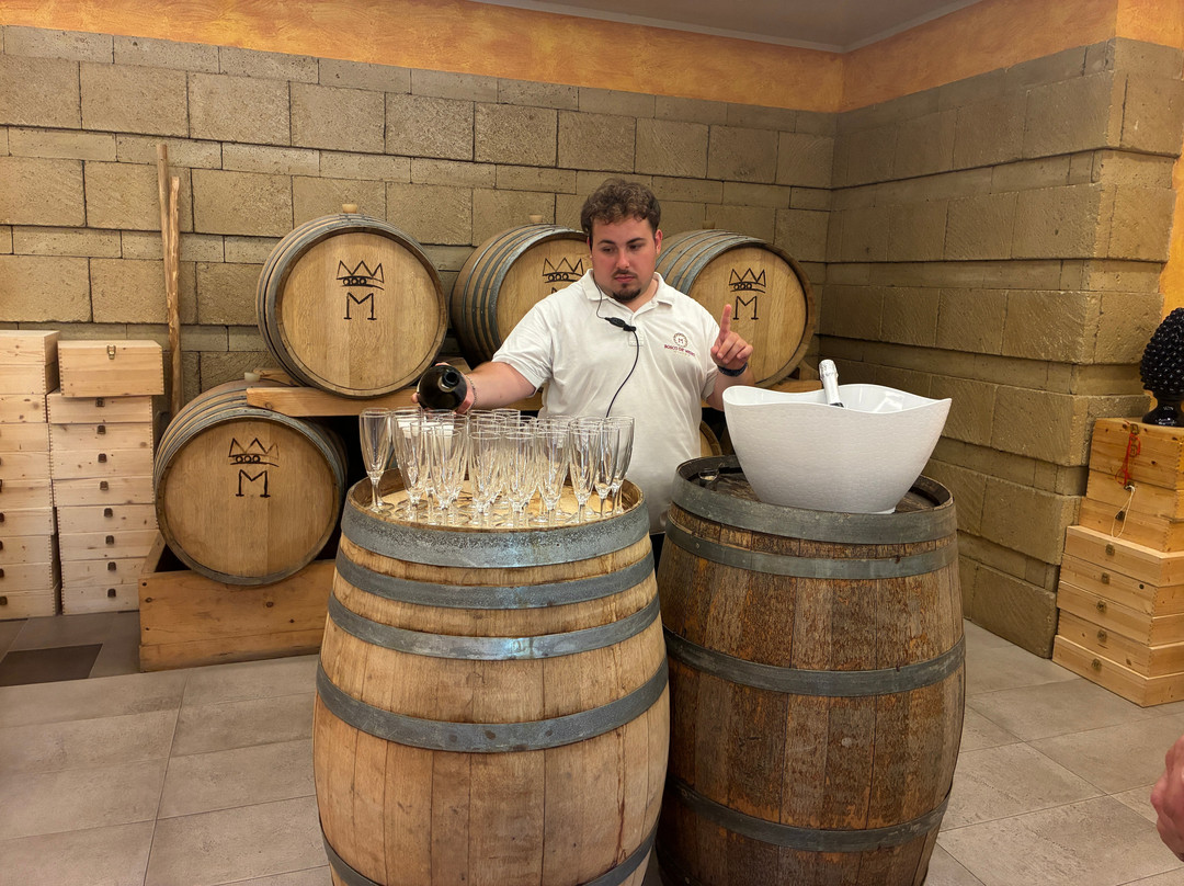 Bosco de Medici Winery-庞贝必去景点