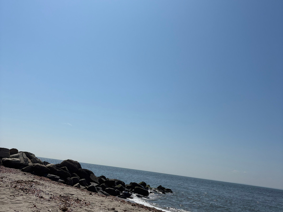 The Surfside Hotel主图
