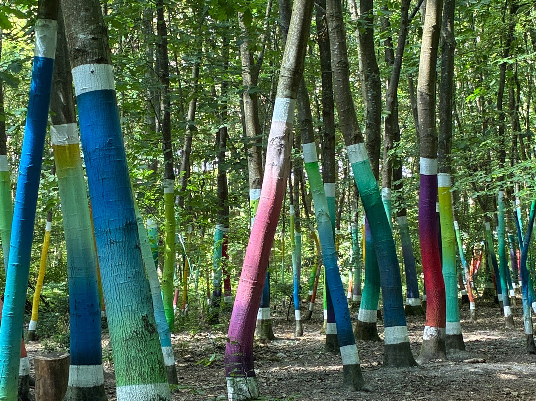 Forêt monumentale de canteleu-Canteleu必去景点