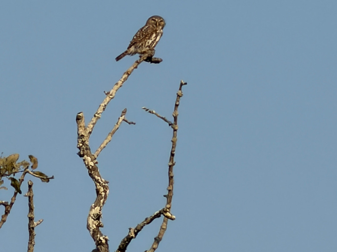 Kruger National Park Safari Specialists - Tours & Safaris-白河必去景点