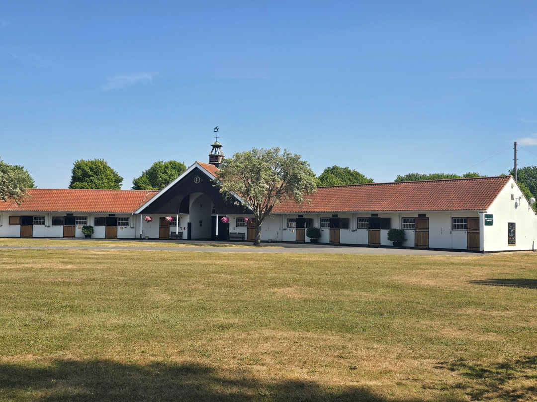 Discover Newmarket Tours-纽马克特必去景点