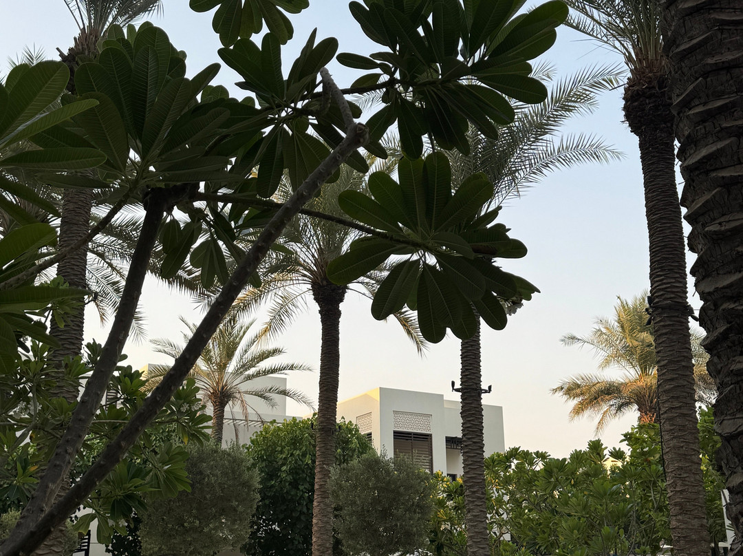 富查伊拉海滩宫殿度假村主图