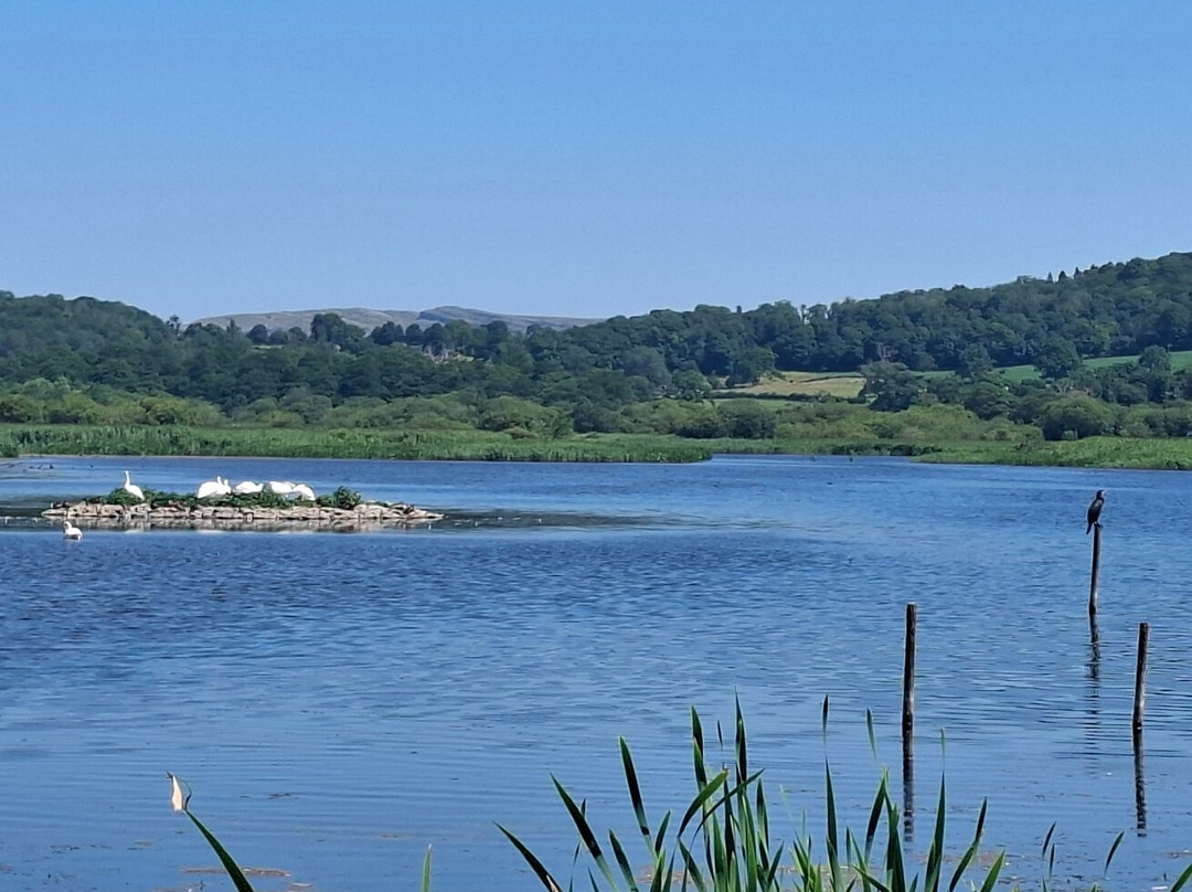 RSPB Leighton Moss Nature Reserve-Silverdale必去景点