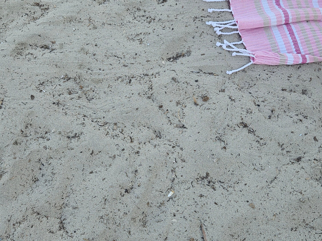 Spiaggia Torre Canne-Torre Canne必去景点