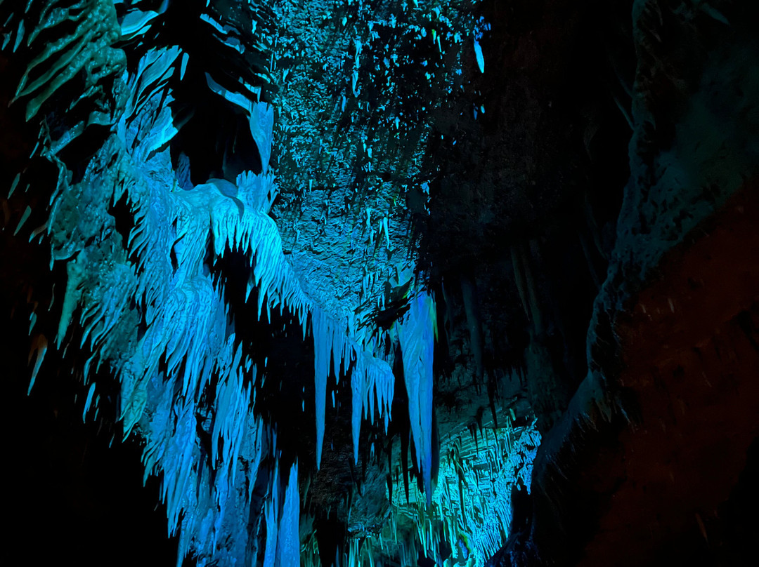 Grotte De Tourtoirac-Tourtoirac必去景点