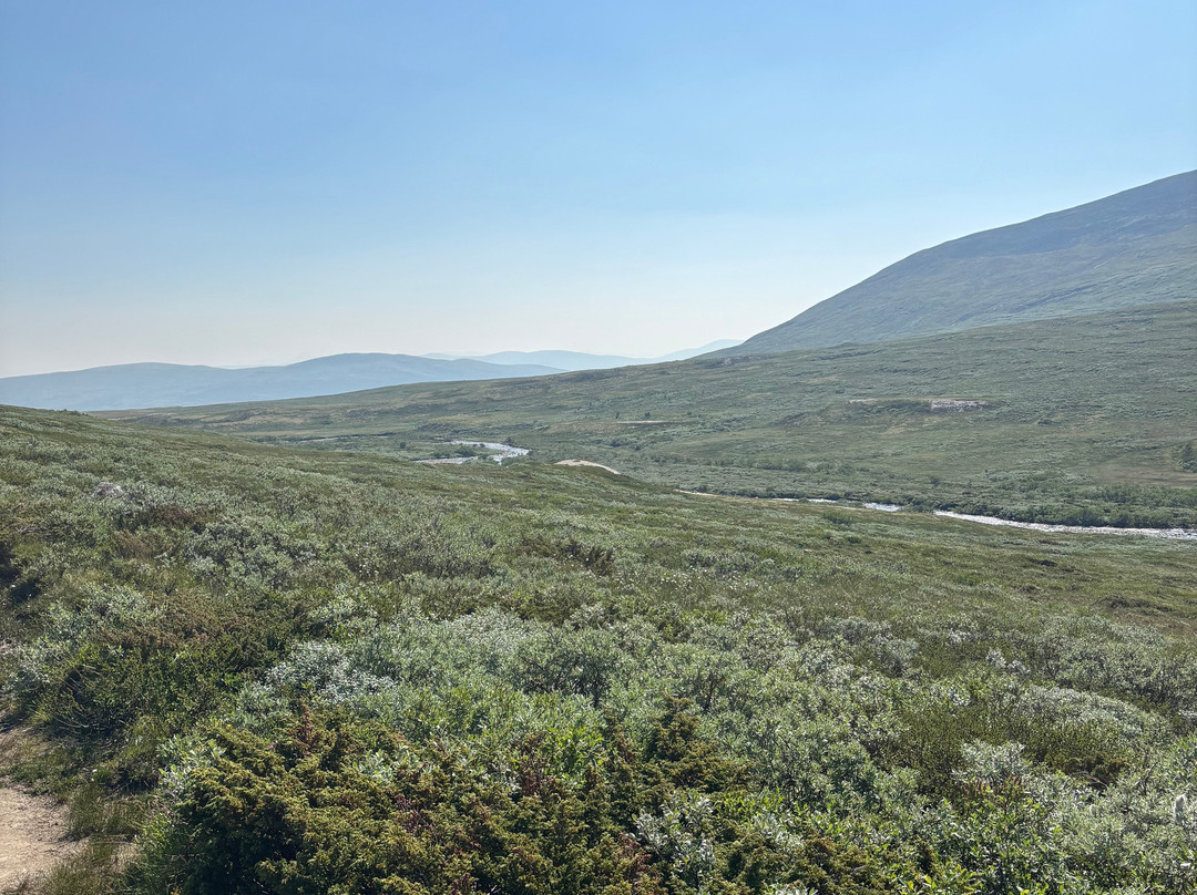 Oppdal Safari-Oppdal必去景点