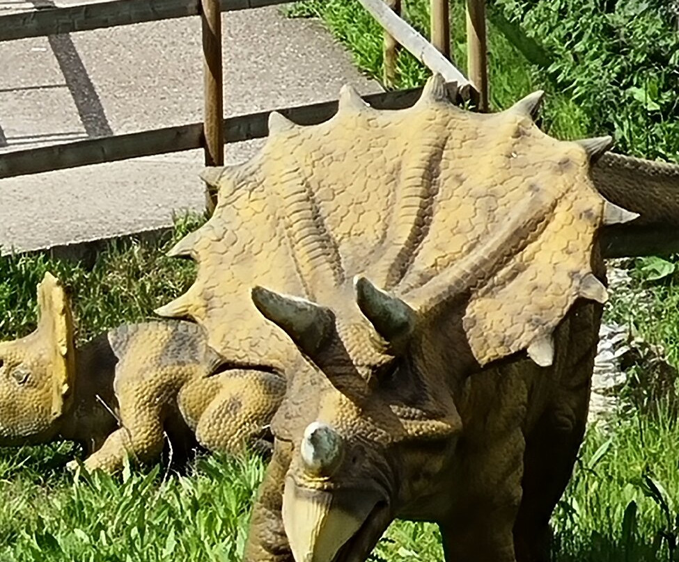 Wingham Wildlife Park-Wingham必去景点