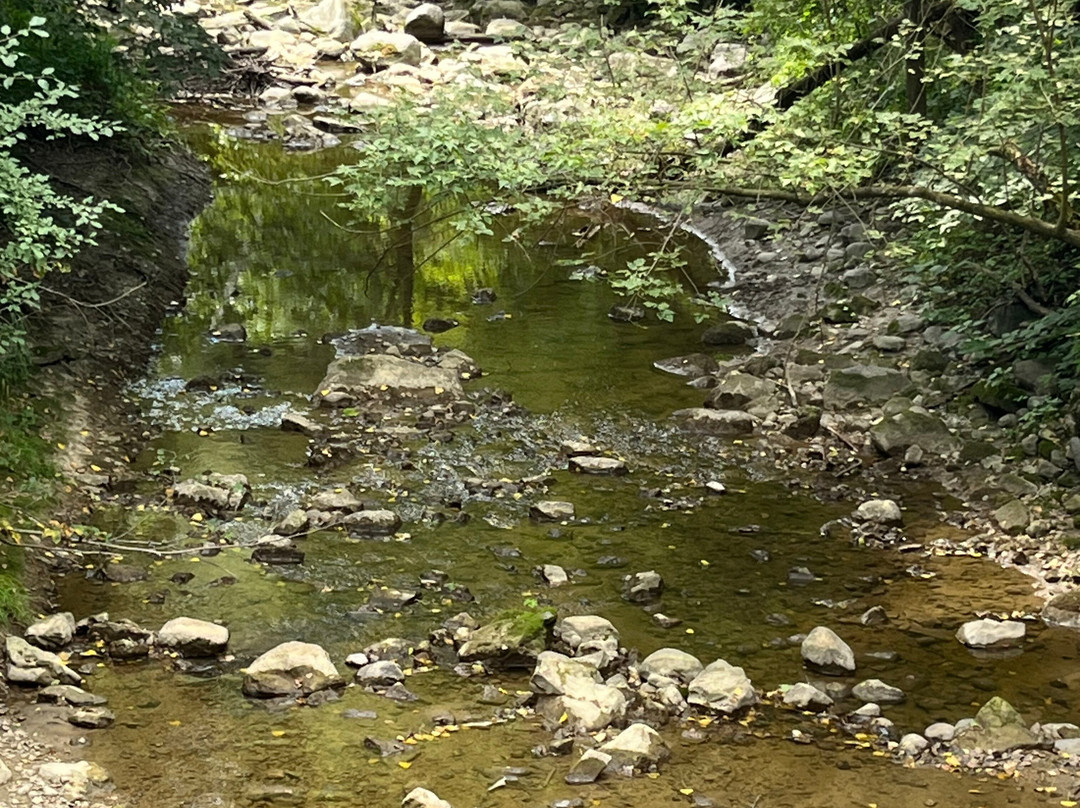 Seven Mile Creek Park-曼凯托必去景点