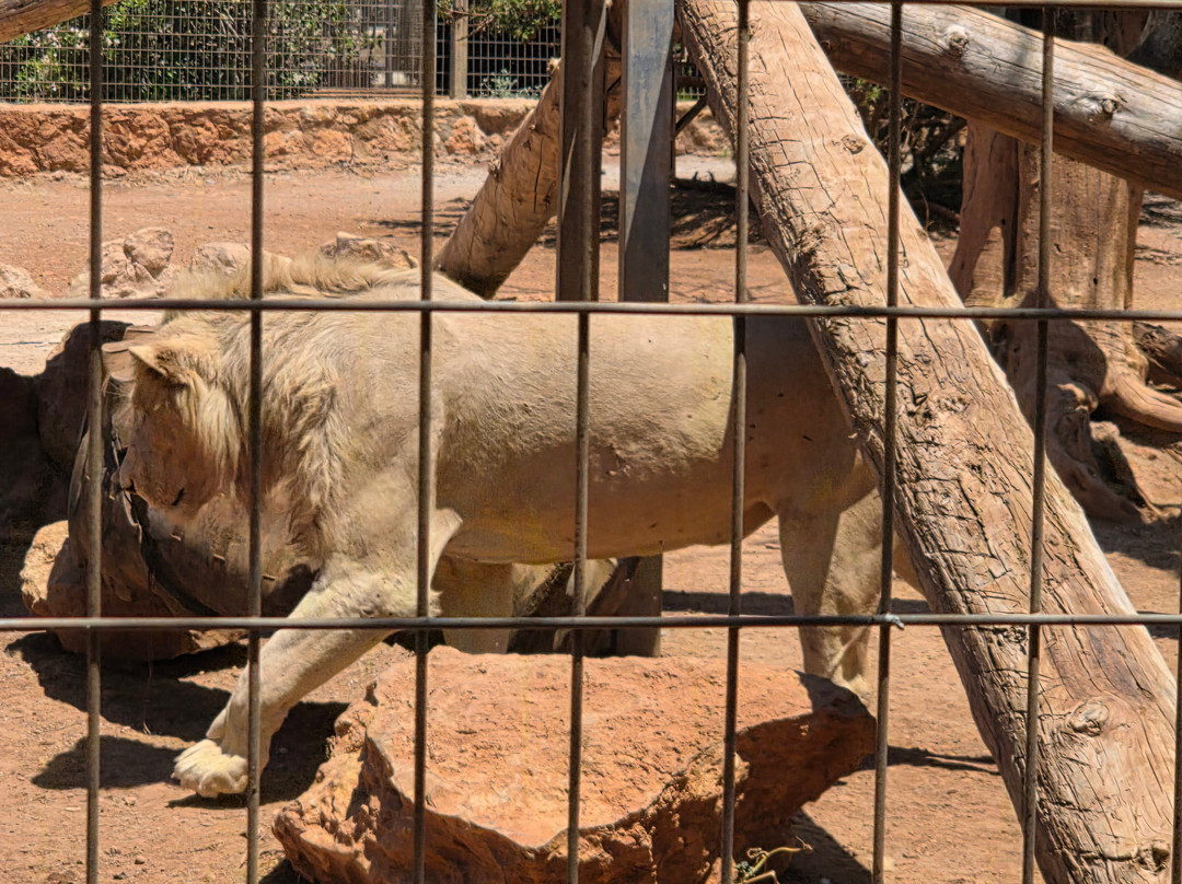 Pafos Zoo-帕福斯必去景点