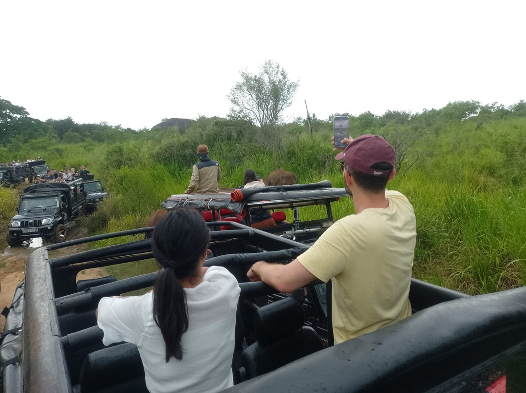 Minneriya Safari Tours-哈巴拉娜必去景点