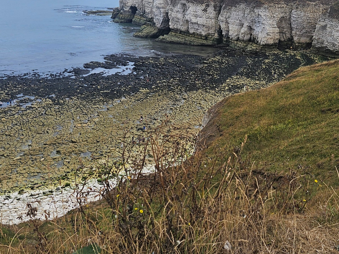 Thornwick Bay-Flamborough必去景点