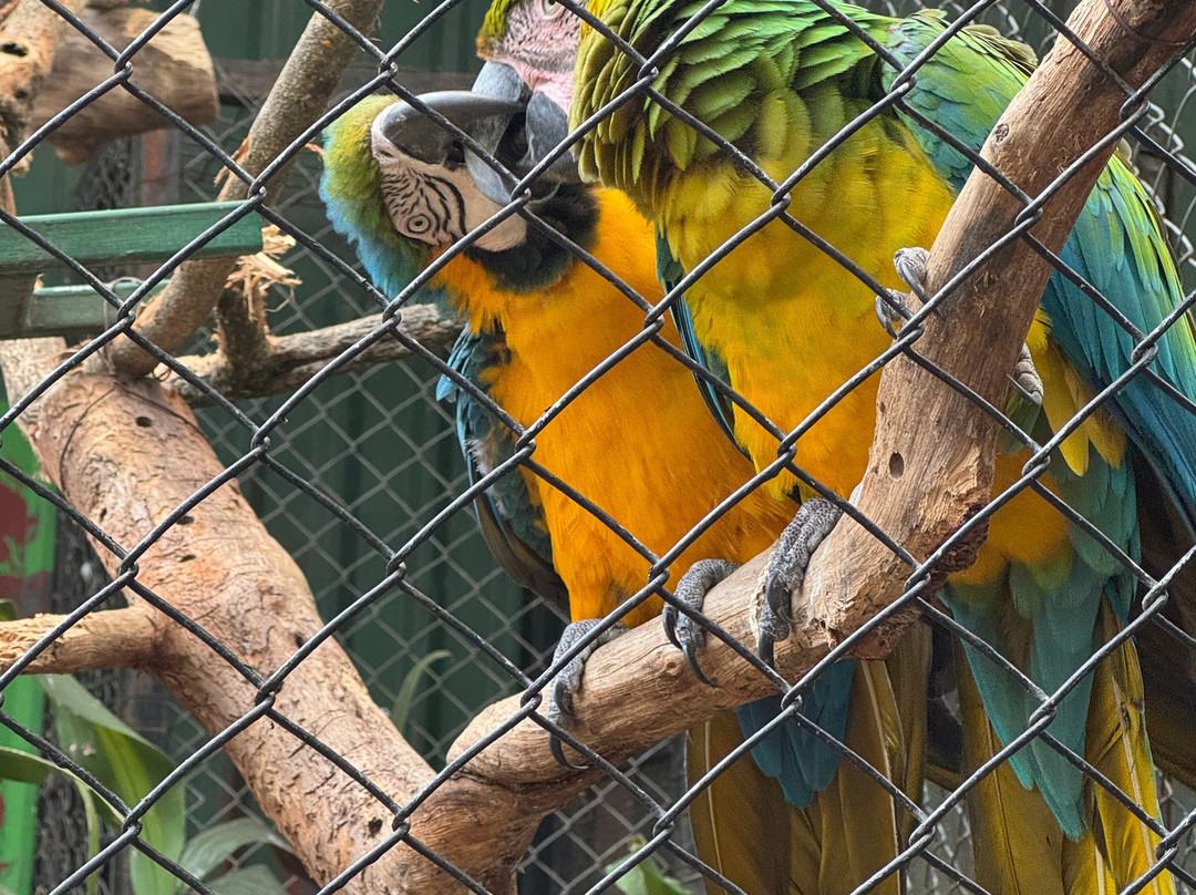 Refugio Animal De Costa Rica-圣安娜必去景点