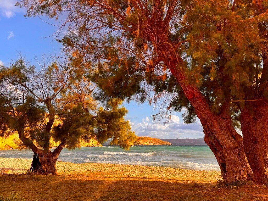 阿尔米利达度假酒店-旅行者