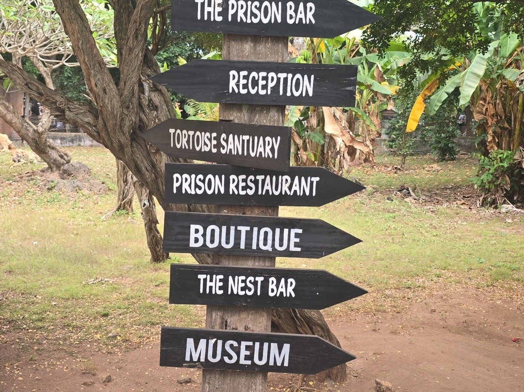 Zanzibar Kombo Tours and Safaris-桑给巴尔市必去景点