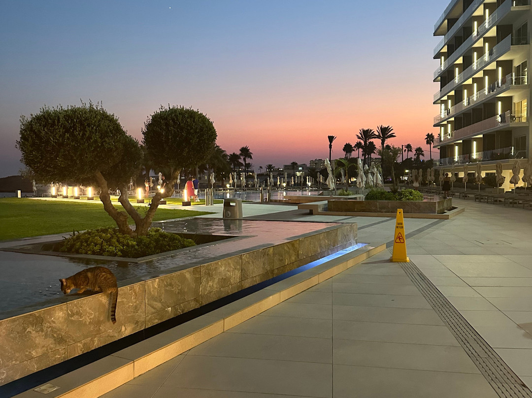 Chrysomare Beach Hotel and Resort主图