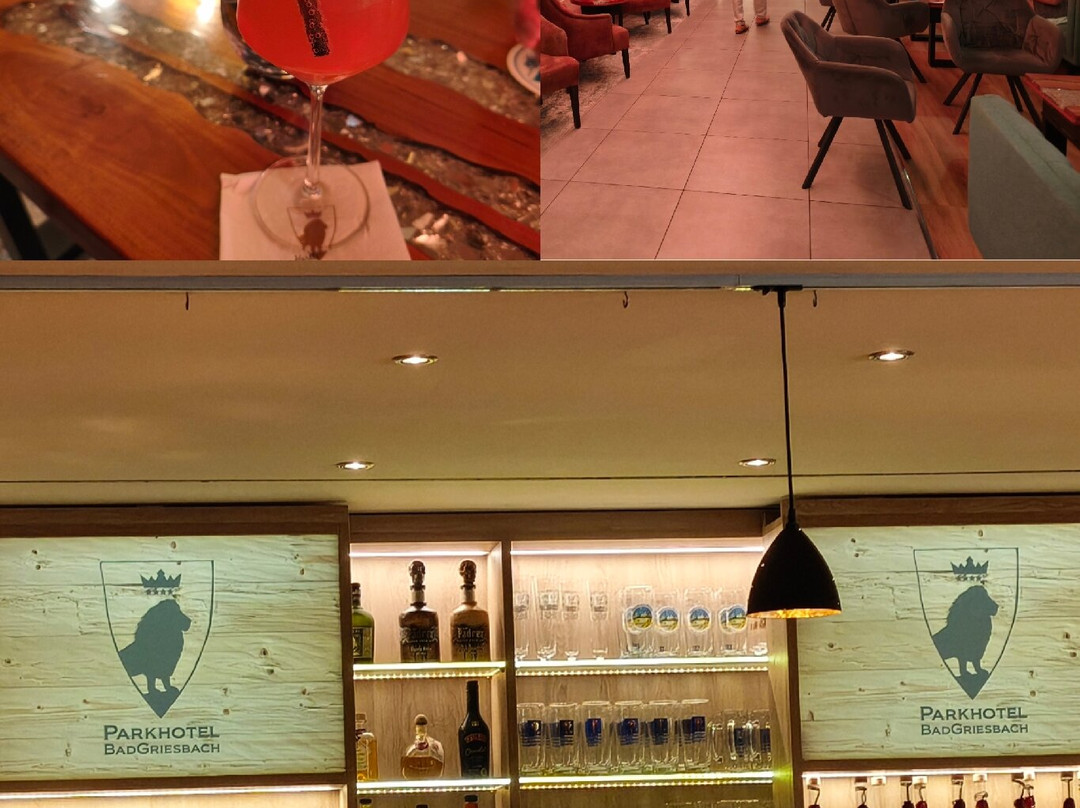巴特格里斯巴赫公园酒店主图