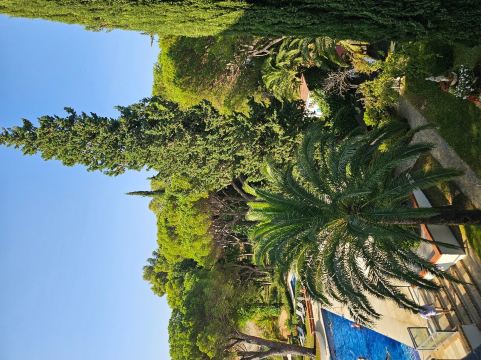 加泰罗尼亚伦达雷纳维多利亚酒店-旅行者