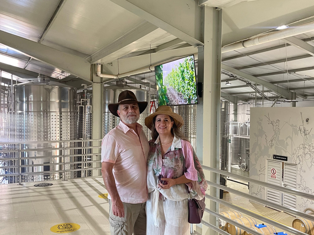 Monte Xanic Bodega Vinícola-Valle de Guadalupe必去景点