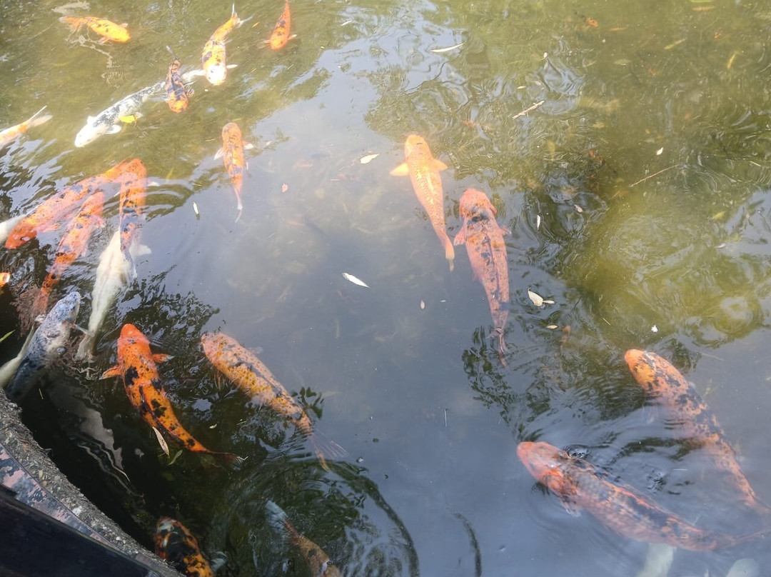 Little Rock Zoo-小石城必去景点