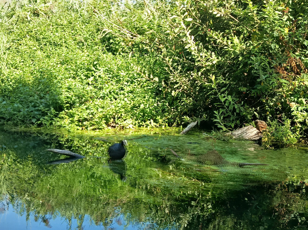 Canoa Sul Tirino-Bussi sul Tirino必去景点