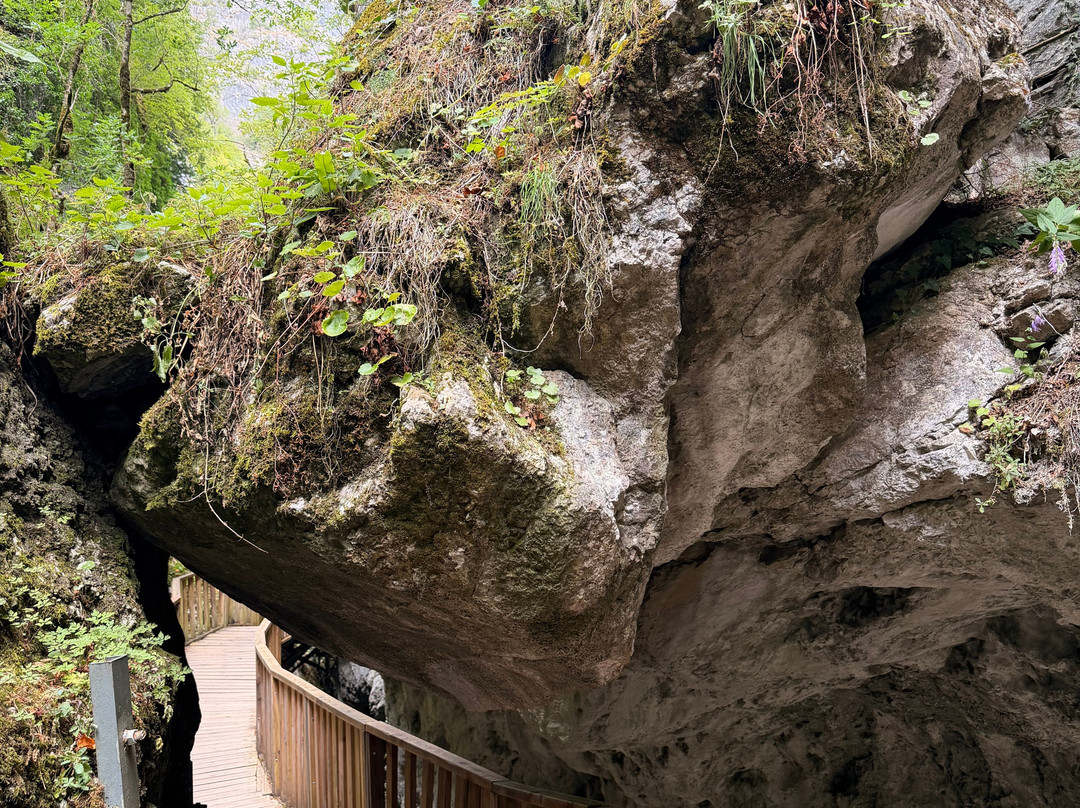 Horma Canyon-Pinarbasi必去景点