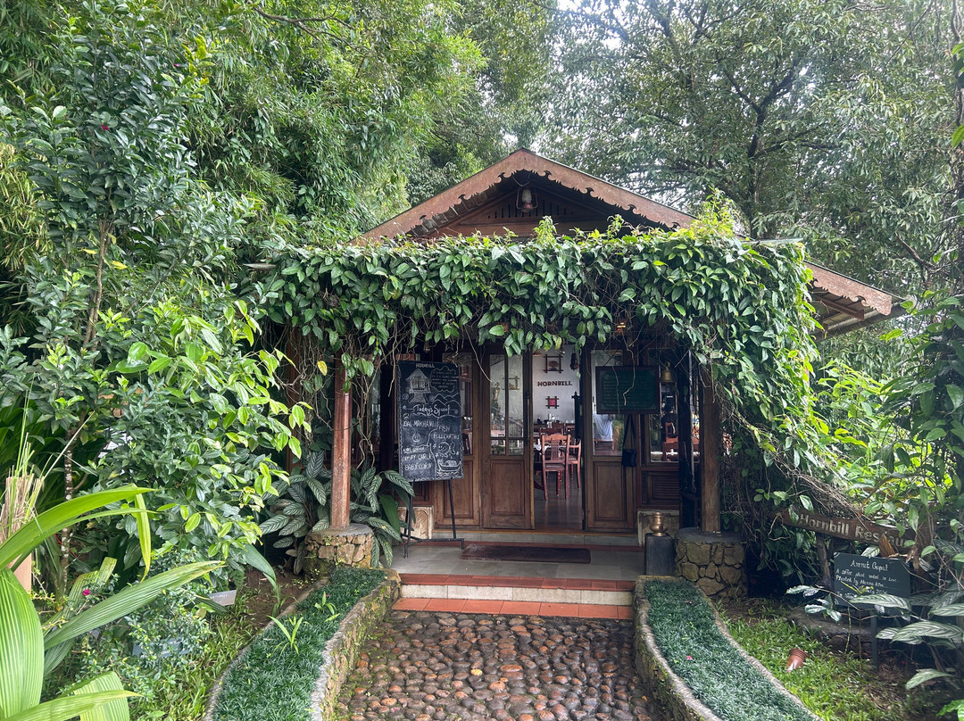 蒙纳黑莓山酒店 - 自然度假村及水疗中心主图