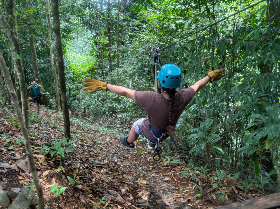 Canopy Safari-克波斯必去景点