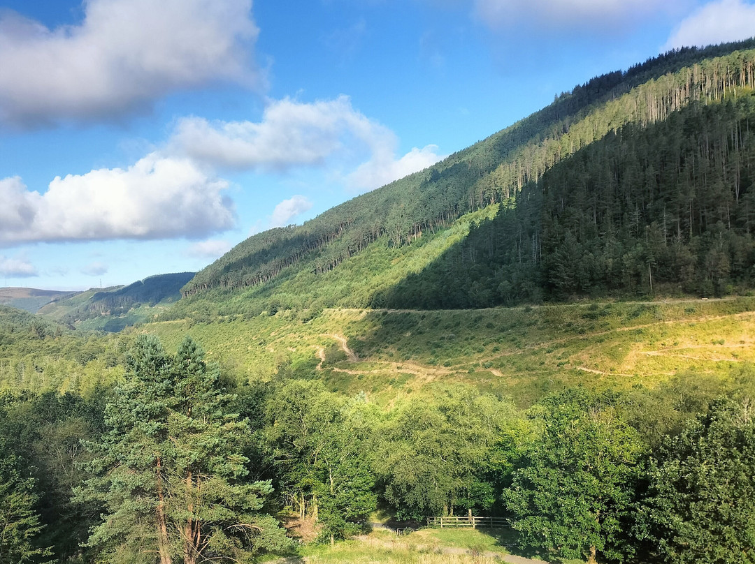 Afan Mountain Lodge主图
