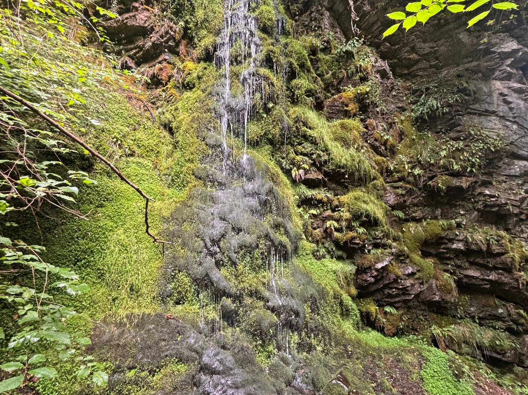 Big Burn Walk-Golspie必去景点