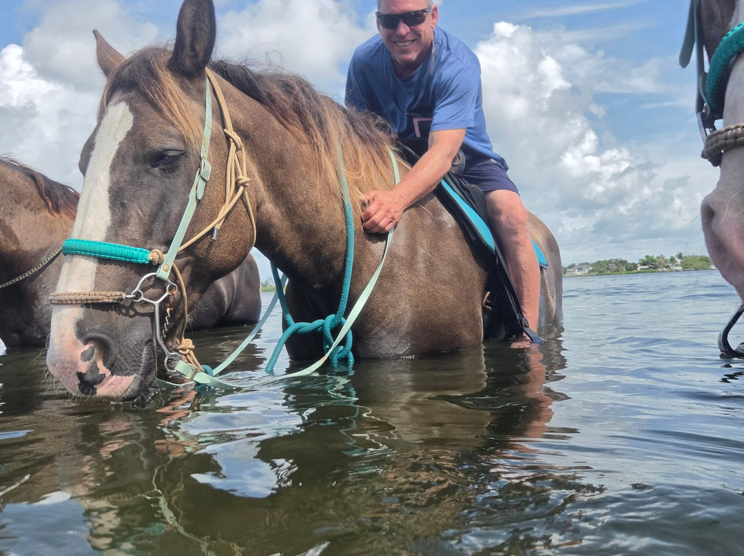 Florida Beach Horses-布雷登顿必去景点